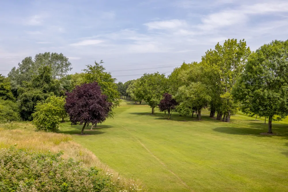 Batemans Pub - The Fairways, Brinsworth - Rear Balcony View of Golf Course